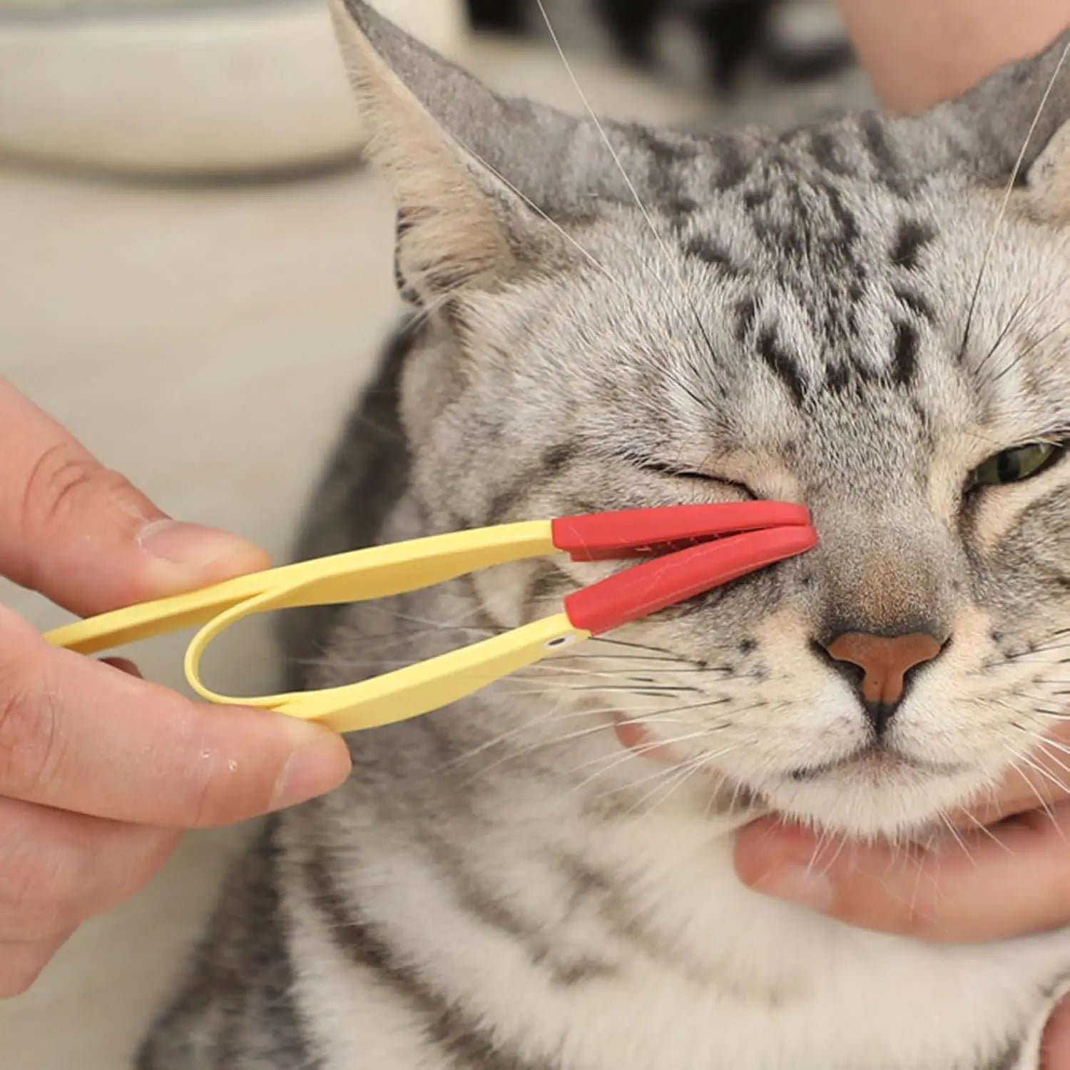 Pet Tear Stain Remover Comb with Soft Handle Brush 2