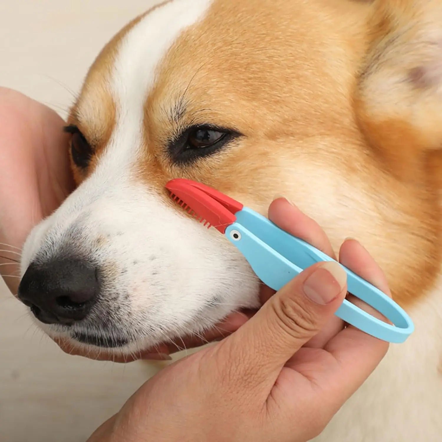 Pet Tear Stain Remover Comb with Soft Handle Brush 3