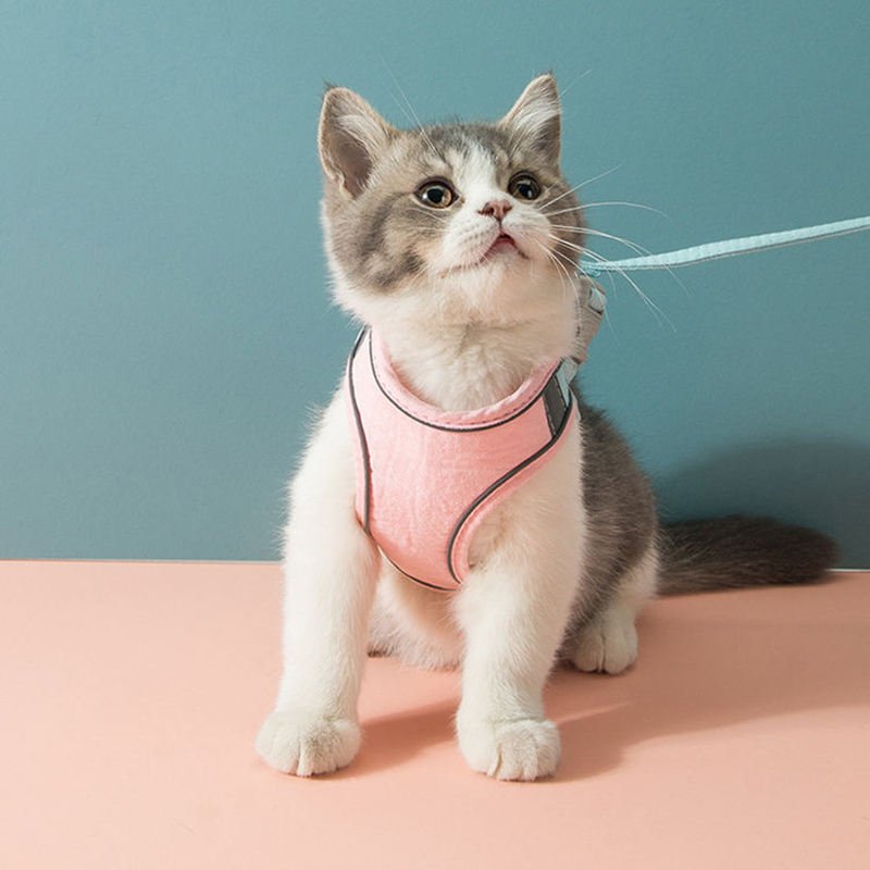 Reflective Soft Mesh Pet Harness Vest for Dogs and Cats 1