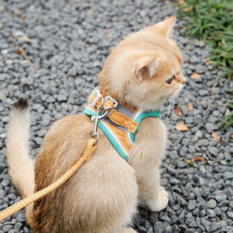 Reflective Soft Mesh Pet Harness Vest for Dogs and Cats 3