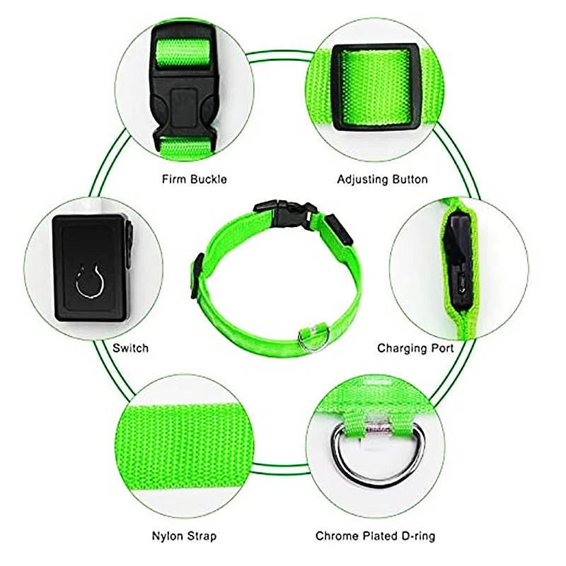 LED Nylon Dog Collar Adjustable Night Safety Glow 2